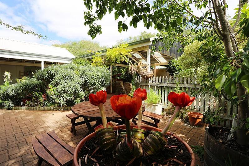 Jacaranda Guest House Busselton Dış mekan fotoğraf